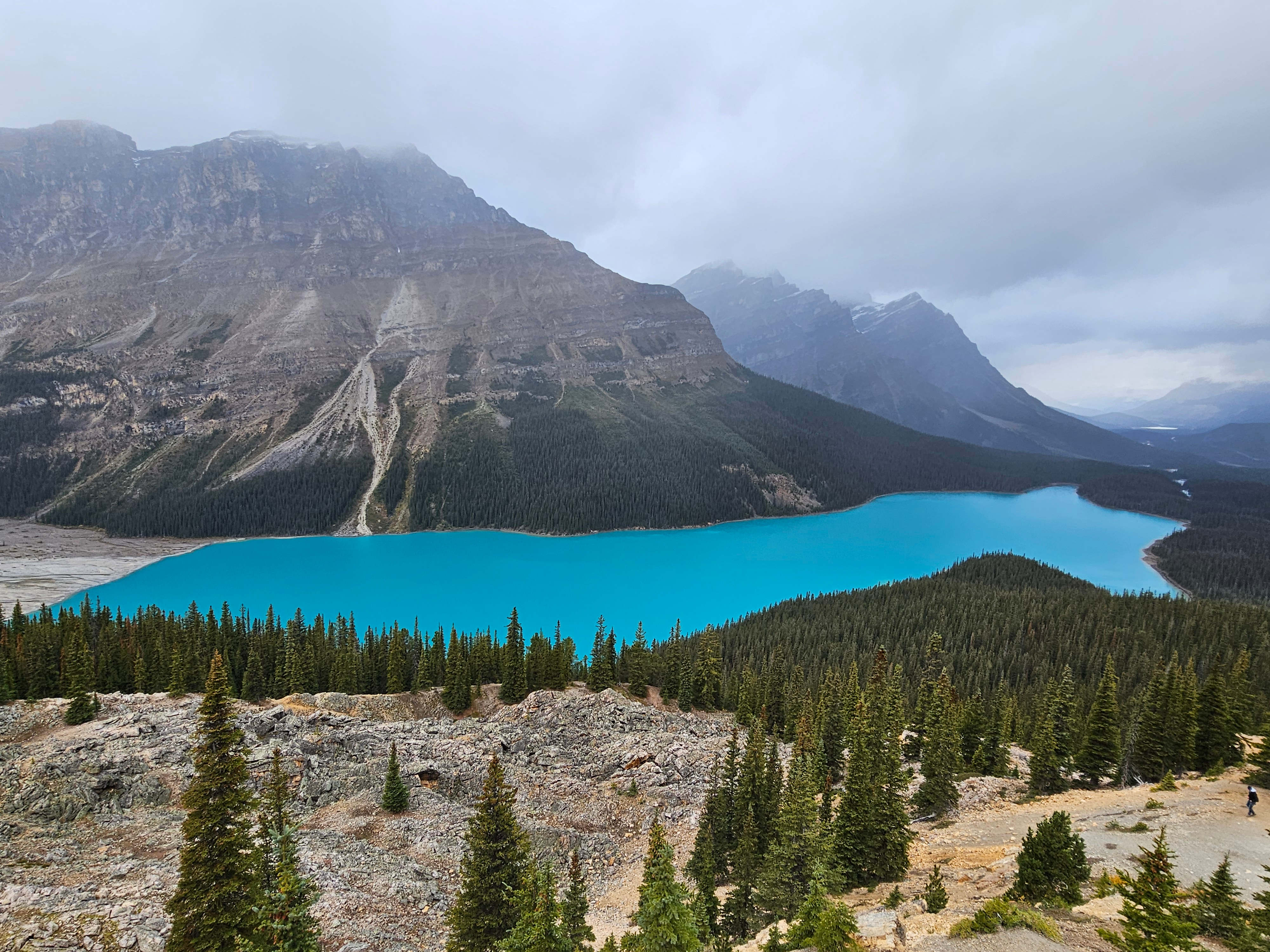 NP Banff